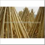 Pole de bambú de moso limpio blanco-MBP002
