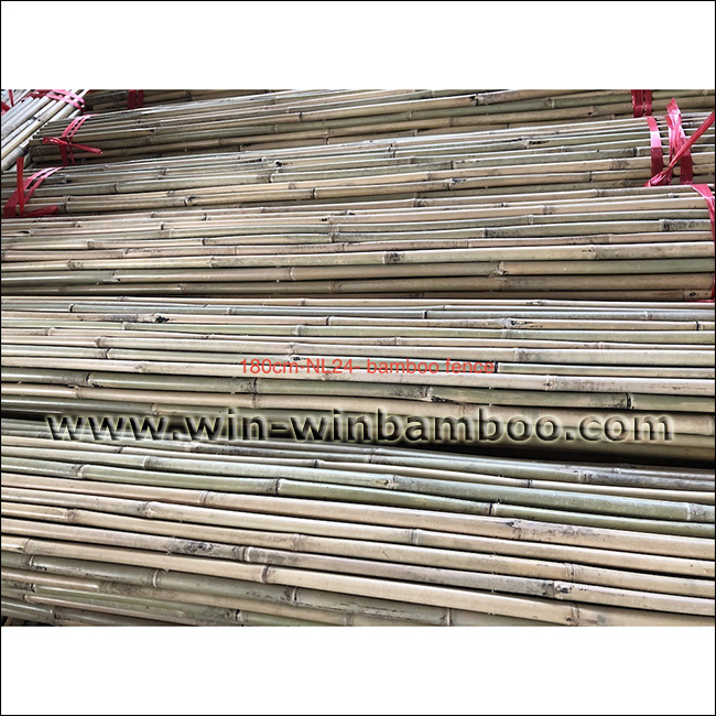 bamboo fence wire lines woven inside 180cm