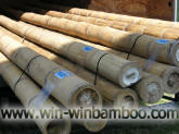 moso bamboo poles clean white