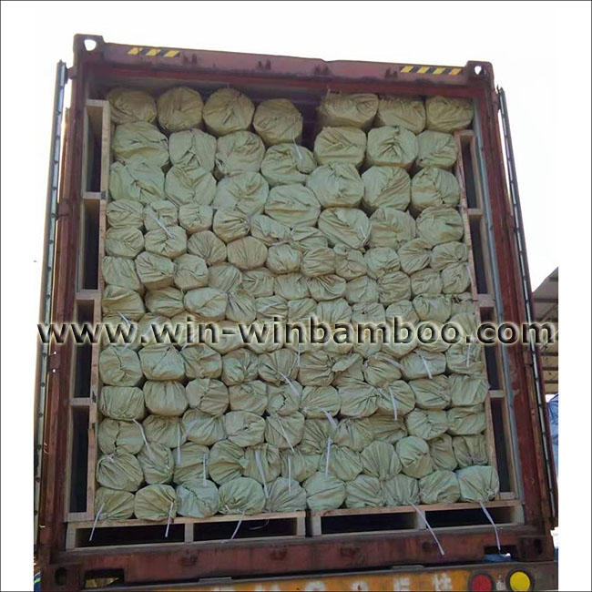 bamboo stakes container loading