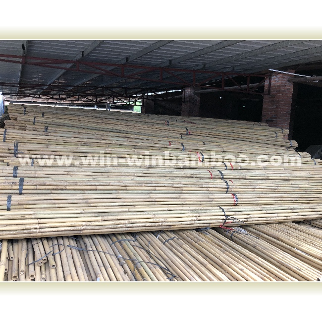tonkin bamboo stocks