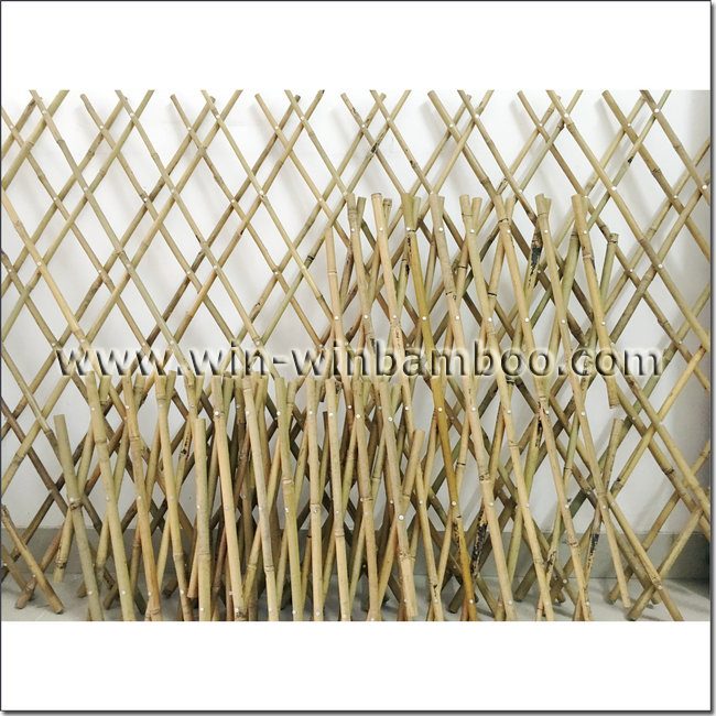 extensile bamboo trellis