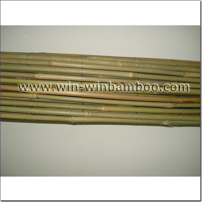 bamboo fence-wire outside woven canes