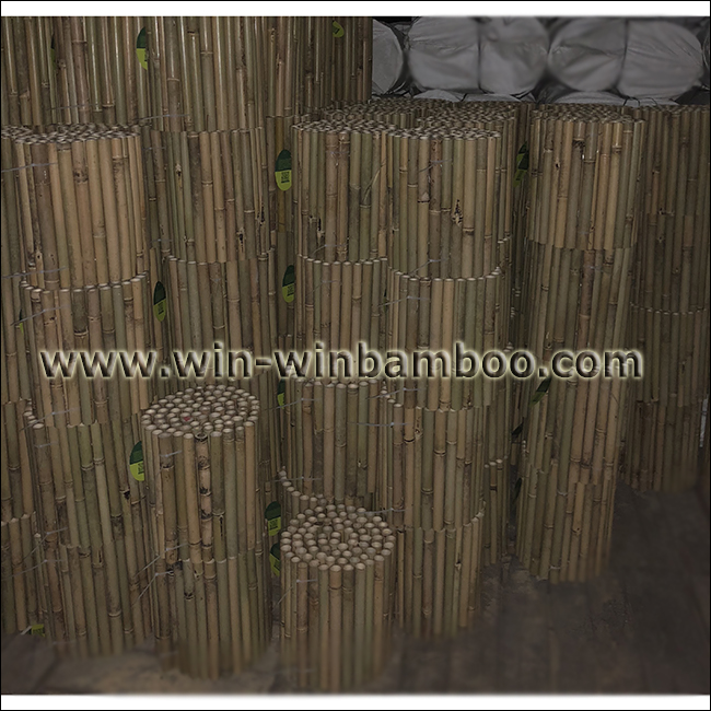 bamboo edges fence