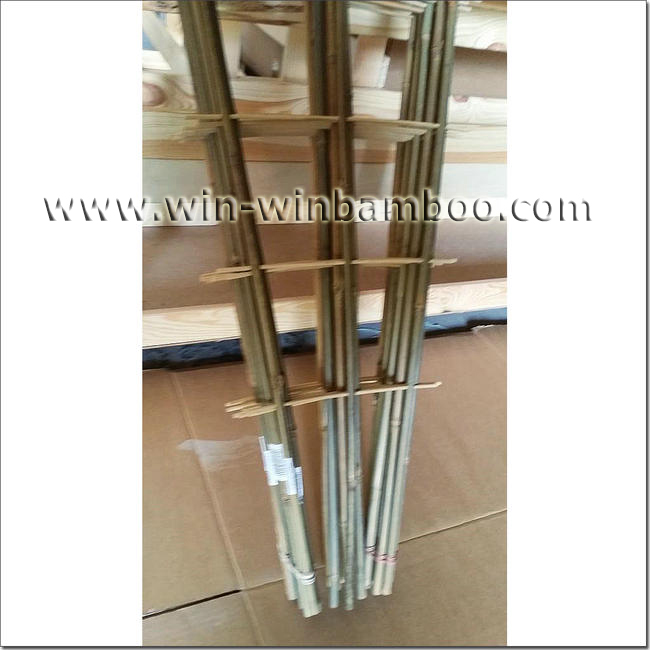fan shape ladder shape bamboo trellis with labels 