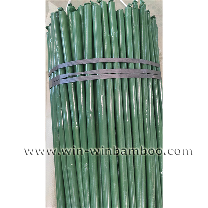 plastic film coated bamboo canes