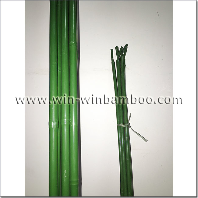 green plastic film coated bamboo canes