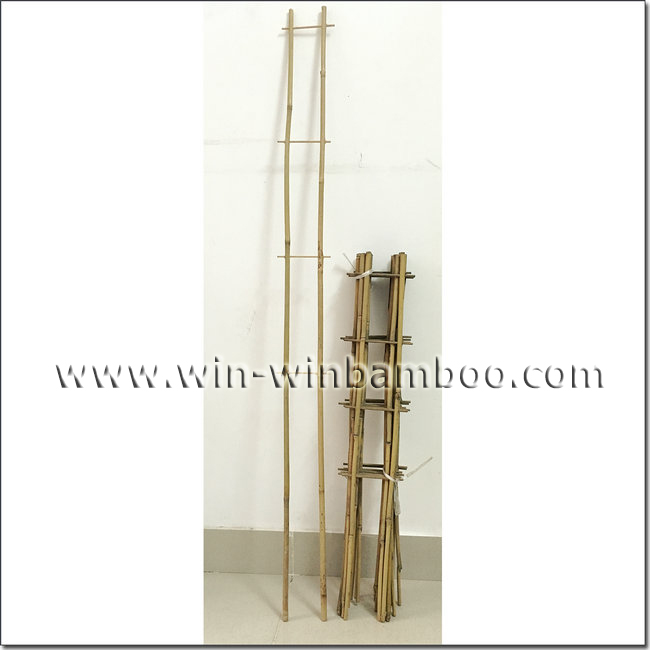 small ladder shape bamboo trellis