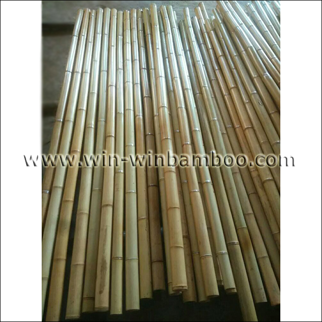 moso poles with varnishing