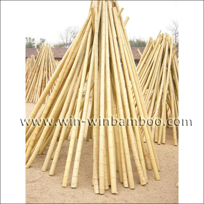 natural dry clean moso bamboo poles