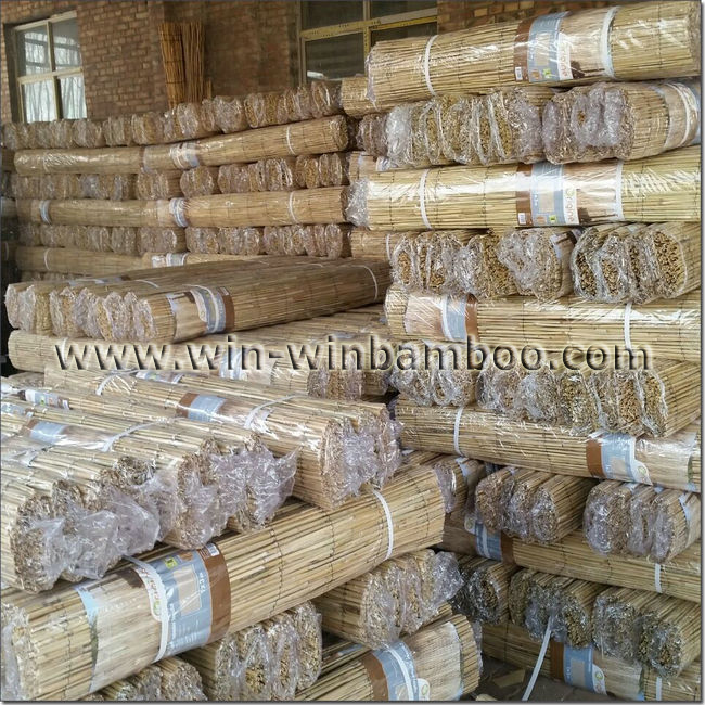 natural well-packed reed mats