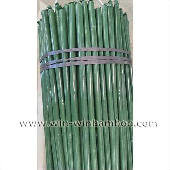 PE green plastic film coated bamboo stakes for gardening
