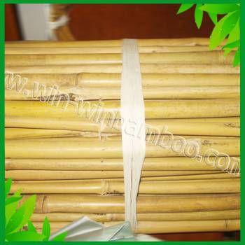 Bamboo Whole Canes Fence (wire inside)
