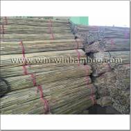 Bamboo canes -Tsinglee Tonkin bamboo stake(BC-031)