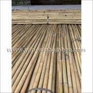 Excellent assistance Bambu stakes for farming trees garden plants supports