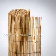 Garden Reed fence - peeled or unpeeled of reed canes