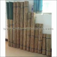 Green Plastic film coated bamboo canes for gardening