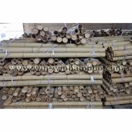 Moso Bamboo poles with label sticker in bundle