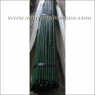 Green plastic film covered bamboo stakes for gardening