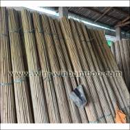 Tonkin bamboo canes for farming & gardening supports