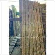 Tonkin Bamboo stakes for farming supports or plants trees nursery