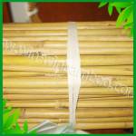 Bamboo Whole Canes Fence (wire inside)