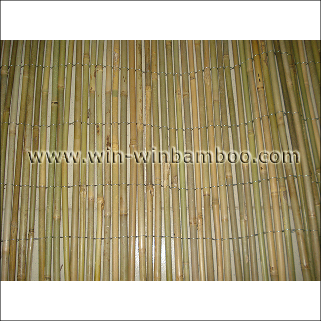 bamboo fence wire outside
